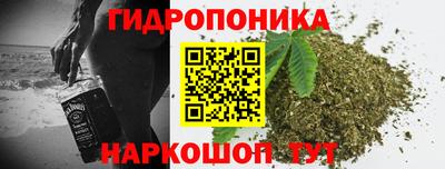 шишки Нарткала
