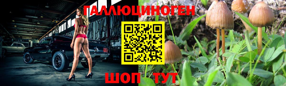 Галлюциногенные грибы GOLDEN TEACHER Курск